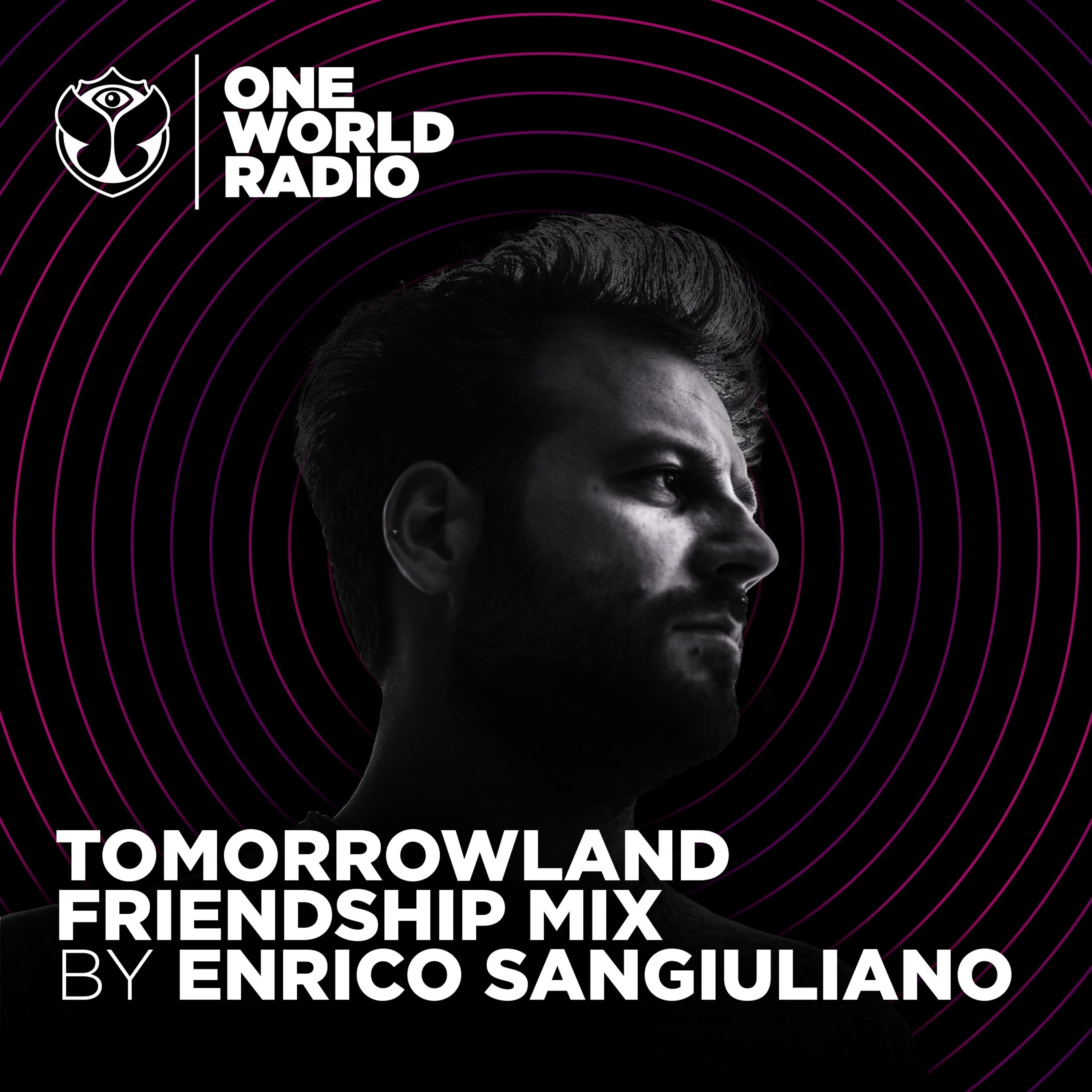 Tomorrowland Friendship Mix