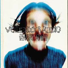 VOIIDEXX RADIO *333.01*