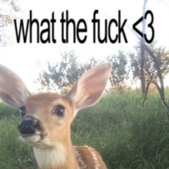 ☆° tectonic emotions °☆