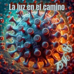La luz en el camino
