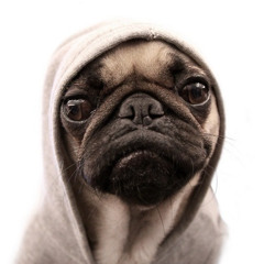 ЛЮБОВЬ К XIVIVIDE