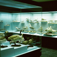 Yogg - Don't You EP [PFR002]