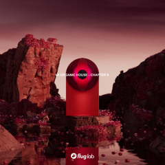 Paul Kenny - Ending [Flug Lab]