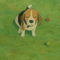 Apolo011