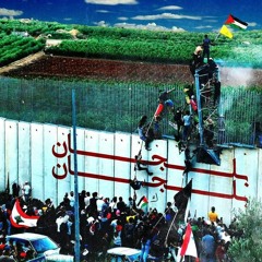 هي يا فلسطين (زفّة كرم موسى)
