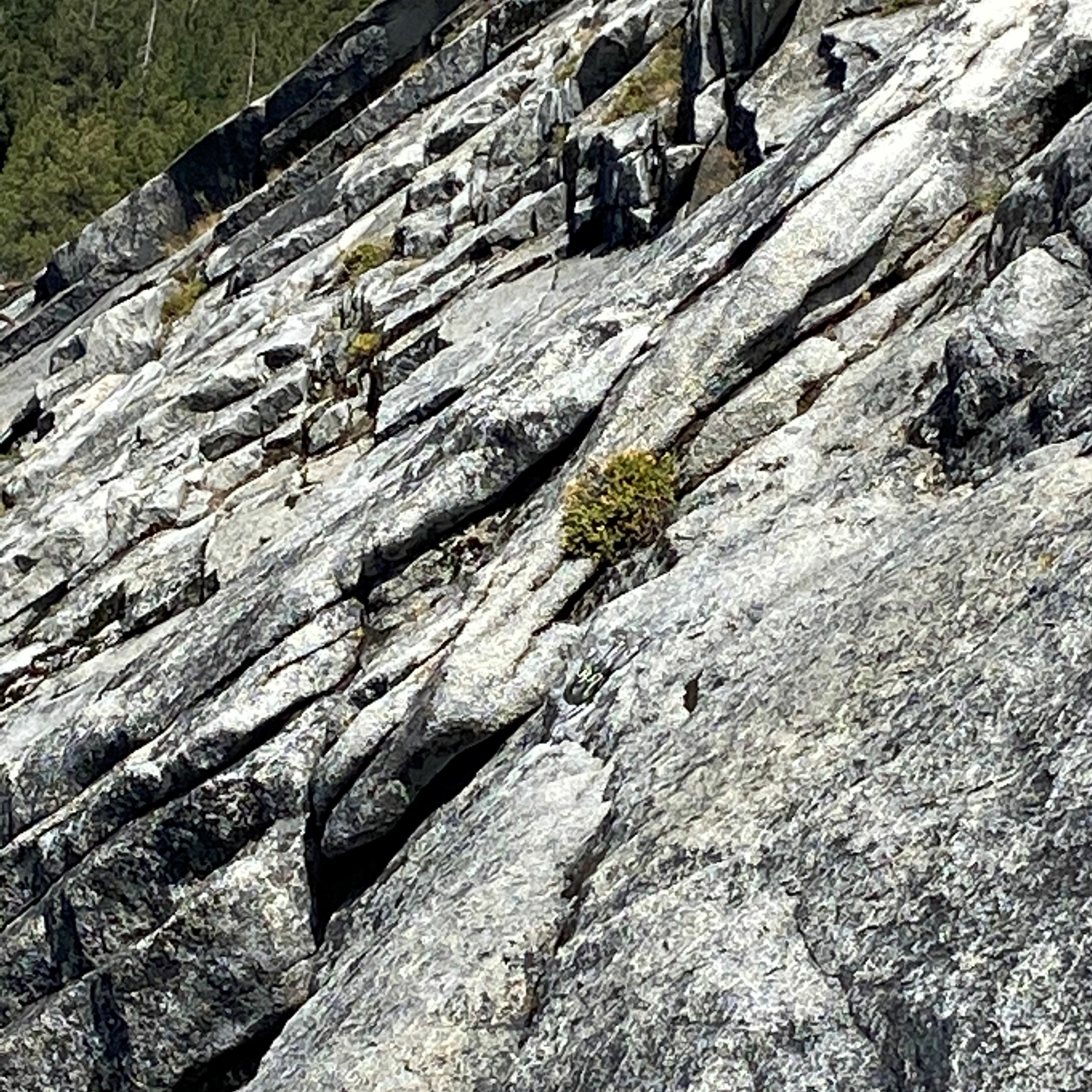 The Rock Behind the Climb
