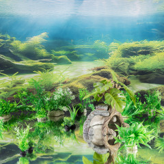 Sand Art - The Fish Barn 2/21/25