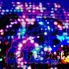 HONEY PACK (SEE THRU FLIP)