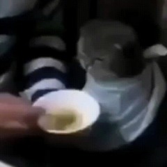 Jojo Interviews Meridian Teachers #1: Eric