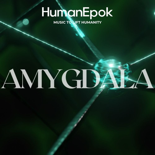AMYGDALA