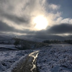 Through the darkness