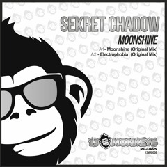 Sekret Chadow - Electrophobia (Original Mix) #TOP 39 BREAKS