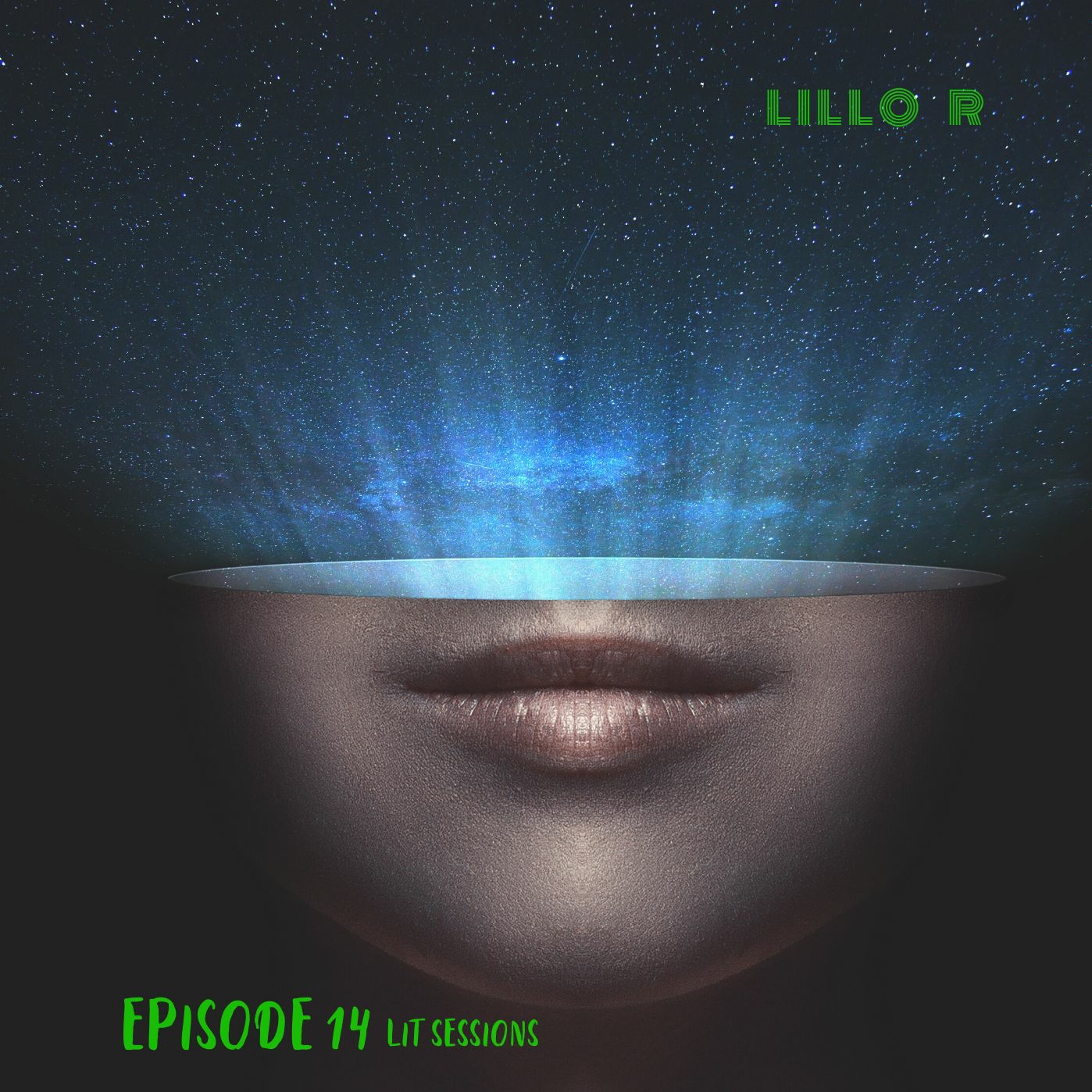 Lit Sessions # 14 Tech House Special
