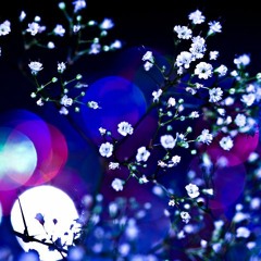 DJ DarkHawk - December 12/10/21