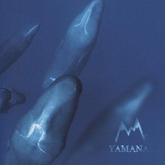 TRES LLAMADAS (P. YA)
