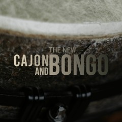8Dio Cajon/Bongo "Lost Tribes" (dressed) by Troels Folmann