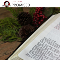 Note for 20250324 - The Gospel of Jesus Christ - Part 71 - Luke 1 - Promised