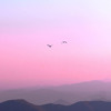 RR @Electronic Groove. March 2022 DJ mix artwork - Electronic music tracklist cover image