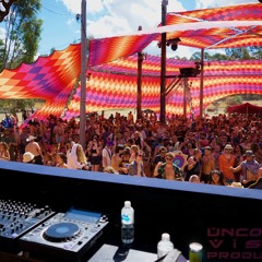 Pspiralife - Wild Horses 2024