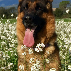 BEST POP ROCK BALADAS