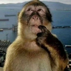 🙂🤦🏿‍♀️cheer up playlist💢.✨