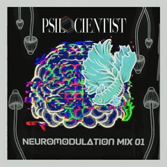 Neuromodulation Mix 01