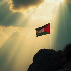 Flotilla Under Attack - Pray For The Brave Souls // Italy Stand-Still - People Alla Grande!