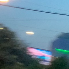 they indeed hate to see a cute girl walking her dog (sunday mix)