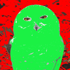 Laura Palmer's Theme (Angelo Badalamenti cover)