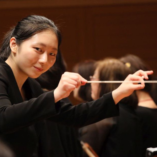 Beethoven Symphony No. 9 Allegro ma non troppe e un poco maestoso