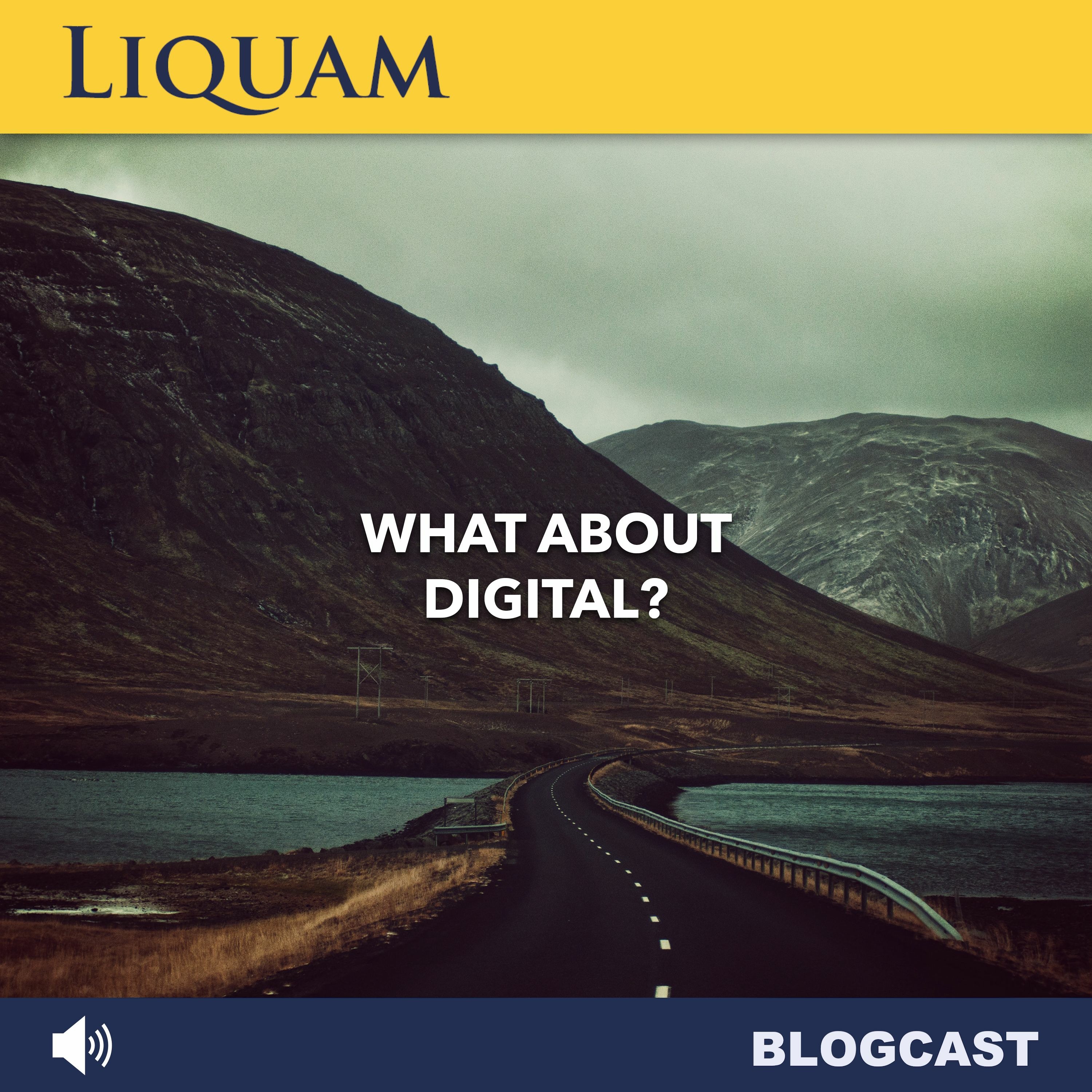 Liquam