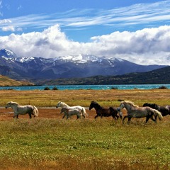 Trois Chevaux (demo 2024)