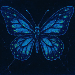 JEDIKO / REMEMBER ACID / 2025 MAR /