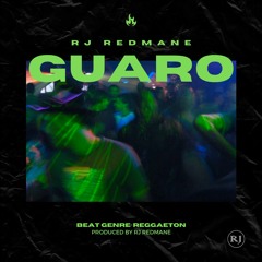 FEID TYPE  BEAT - GUARO - PROD. RJ REDMANE