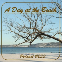 A Day at the Beach - Podcast #233