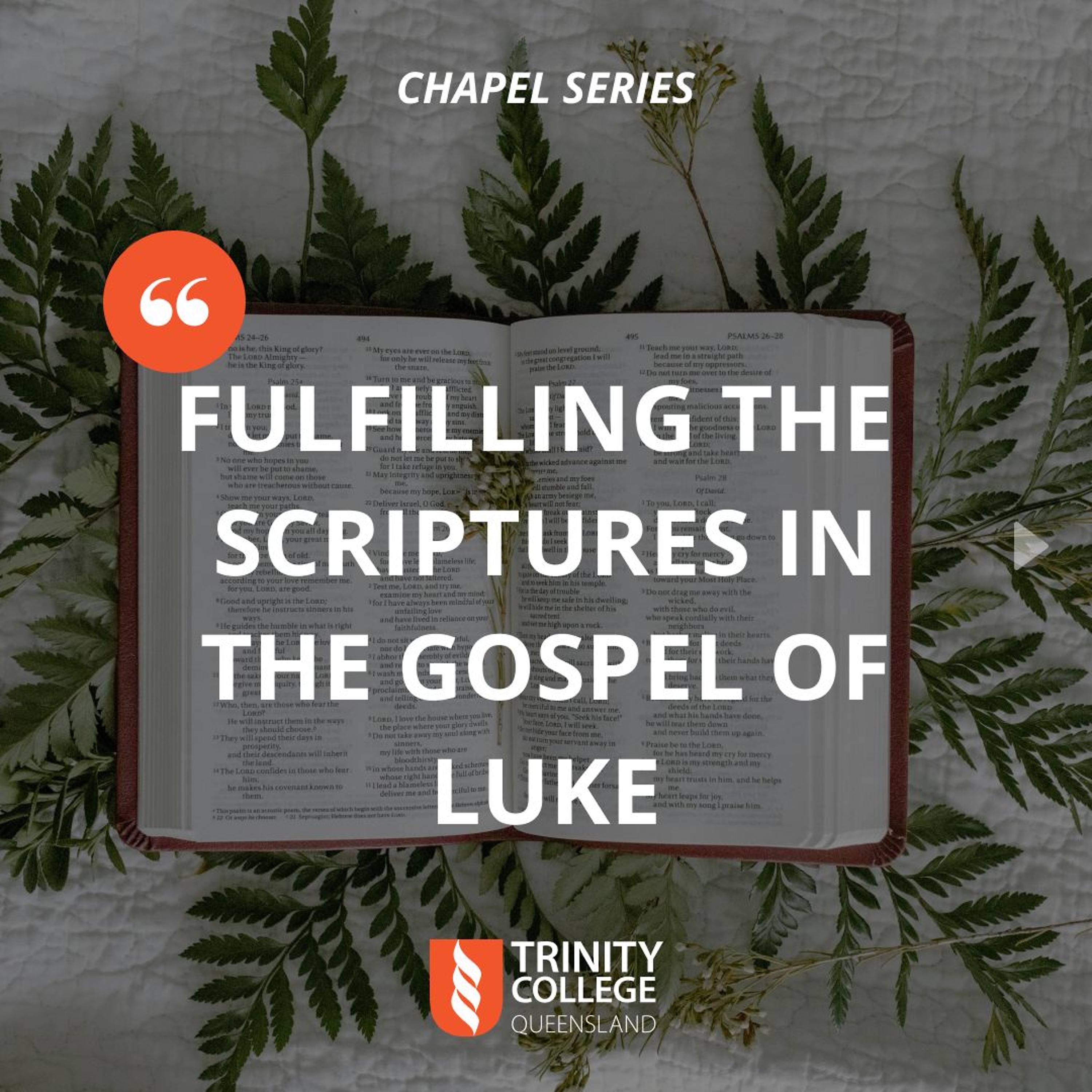 Bible. Theology. Life.