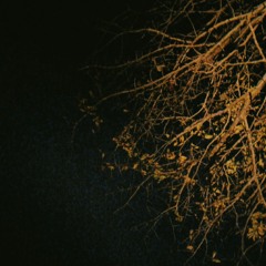 Torpids (instrumental teaser)