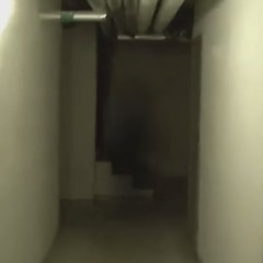 Can't Go Out Like That Prod Echo Quis Whosbrando