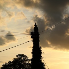Elysian Fields
