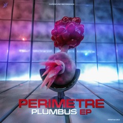 Perimetre - Plumbus (Original Mix)