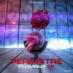 Perimetre - Combuster (Original Mix)