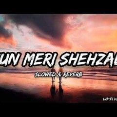 Sun_Meri_Shehzadi__[Lofi___Slow___Reverb]_-_Letest_bollywood_song_!!_Ashwani_Machal_New_version_!!(2