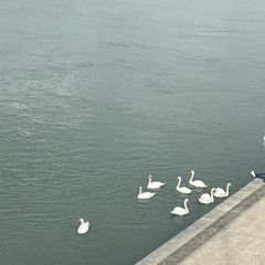 finding my way back