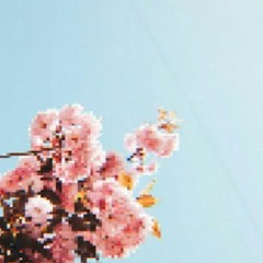 JAUNTYSPRING