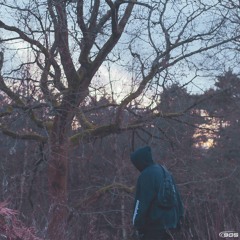 Starship + Overall (prod. Cadence & Vierre Cloud)