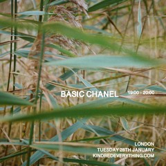 BASIC CHANEL 28.1.25