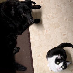 Jamuary6 - GStomper Beat