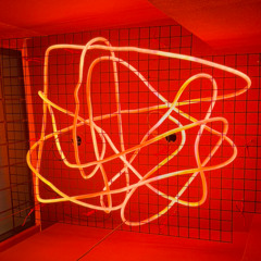 la folie de l'amour - comme dans un rêve