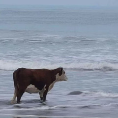 DAY