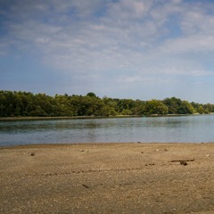 walking on pebbles / Free Download